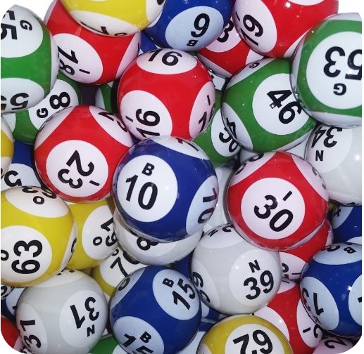 Bingo Bingo